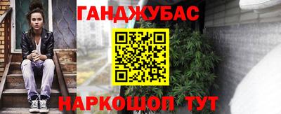 крисы Донской