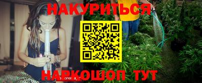 крисы Дубна