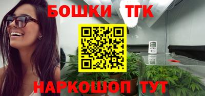 крисы Дубна