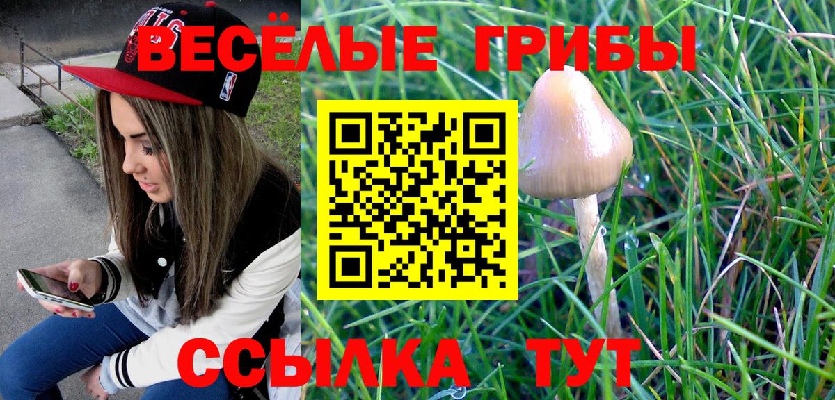 МДМА  Cocaine  Экстази  Гашиш  ГАШИШ  А ПВП СК кристаллы  Бошки Шишки  Магнитогорск  МЕФ кристаллы  Вход с VPN  МЕТАМФЕТАМИН 